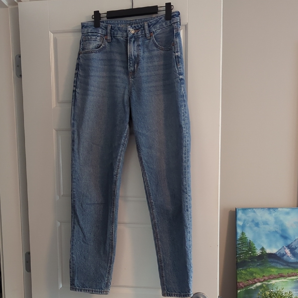 American Eagle Outfitters Strigid Curvy Light Blue Mom Jeans